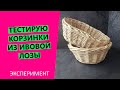 ЭКСПЕРИМЕНТ! 💪🔴Тестирую корзинки из ИВОВОЙ лозы