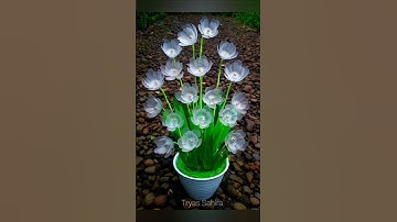 #القرآن_الكريم تلاوه خاشعه