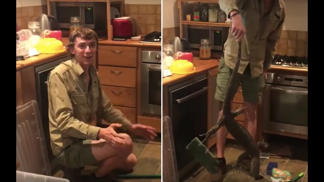 When This Guy Found A Huge Lizard In The Kitchen, The Creature Was Bizarrely Clutching An Oven Glove