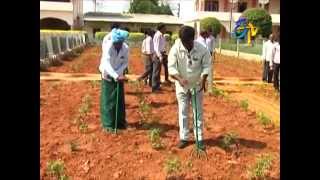 Manual and power weeders for dry crops