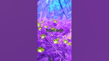#قرآن كريم _ ما تيسر من سورة ( هود) # صوت رائع