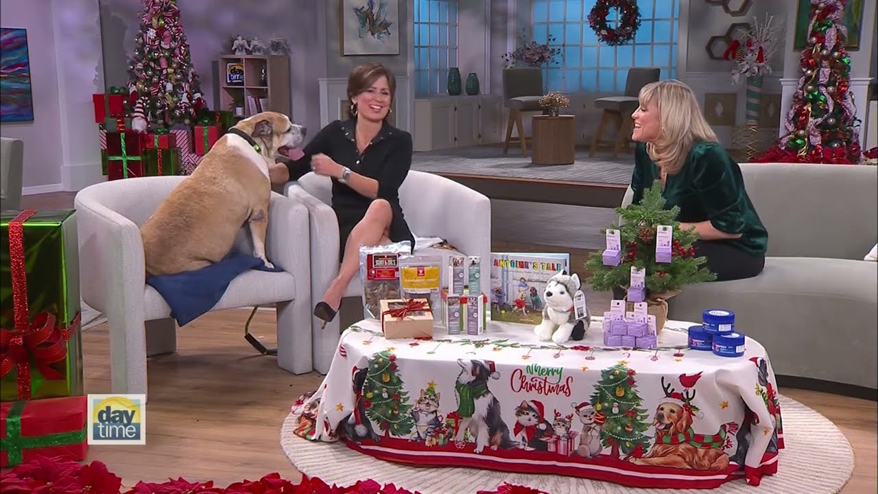 Top 5 in 2025: Holiday gift picks for pets and pet lovers