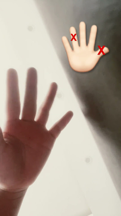 ngày 19 tháng 2, 2024