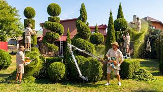 Massive Topiary Garden Transformation! Castle Walls, Double Spirals & More 🌳✂️