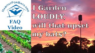 FAQ Will my LOUD Farming make my bats leave