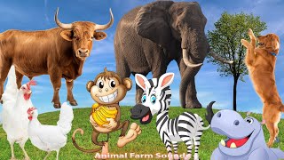 Relax With Familiar Animals: Cat, Dog, Cow, Monkey, Elephant, Chicken  Animal Paradise