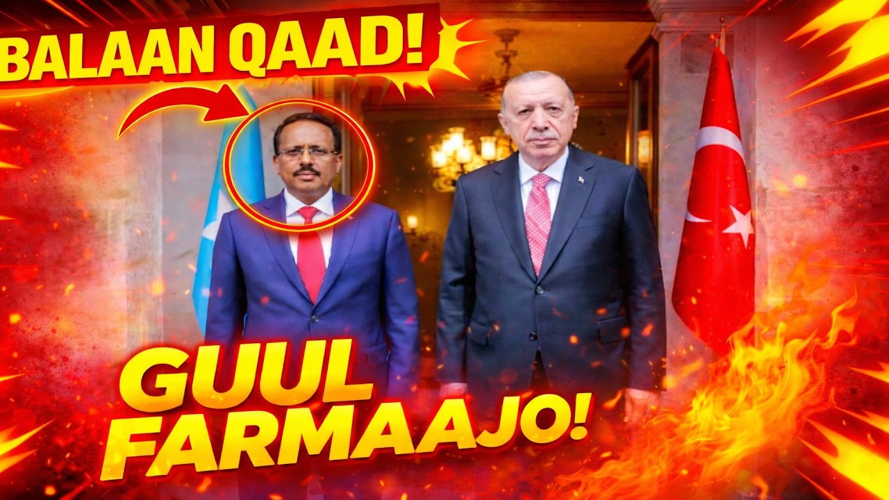 ##degdeg:-TURKEY OO MADAXWEYNE FARMAAJO U BALANQAADAY LACAG IYO MARKALE MADAXWEYNE IN UU NOQON DONO.