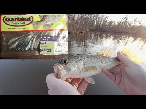 Lure Review!!!(Bobby Garland Baby Shad Swim'R) +Bonus Goose Attack! 