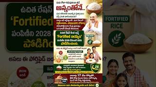 రేషన్ బియ్యం తింటున్నారా? అయితే ఇది మీకోసమే! 🍚 | Fortified Rice Benefits in Telugu |#DandoraNews