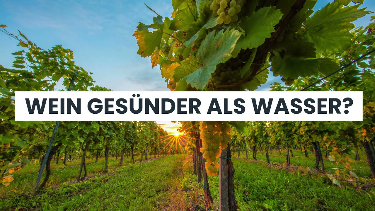 Wein gesünder als Wasser?