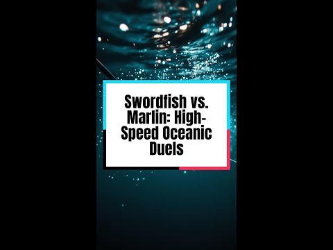 Swordfish vs. Marlin: