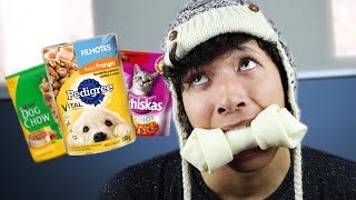 Provando Comidas De Cachorro