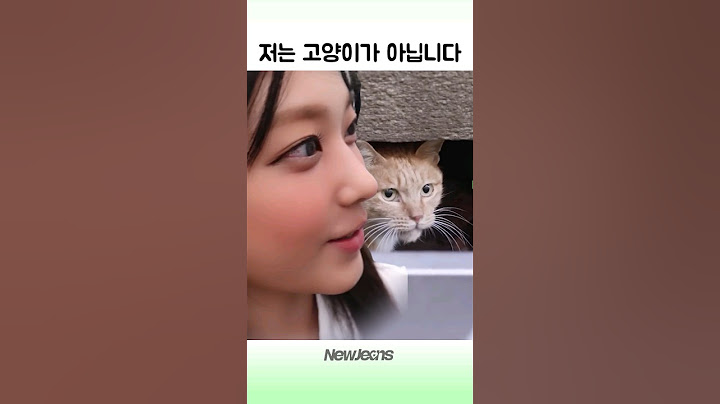 강해린 고양이 맞잖아 ㅋ