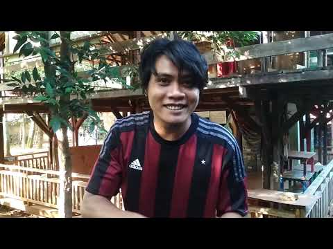 CARA BUDIDAYA LELE | MUDAH BANGET 