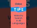 How to Make Products Searchable in Every Language