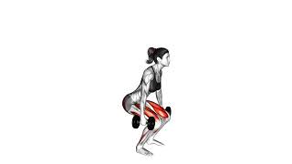Dumbbell Squat – Build Leg Strength & Total Body Stability