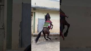 Horse Power Kya Hota Hee