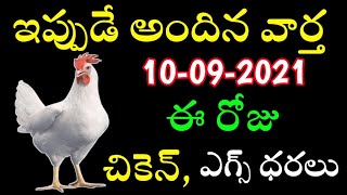 Today Chicken, Egg rates IN Andhra Pradesh and Telangana!|Chicken rate Today 10-09-2021 screenshot 4