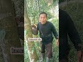 kuntilanak itu minta tolong.. #shortvideo #horor #hantuseram #kuntilanak #ngakak