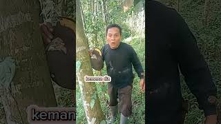 kuntilanak itu minta tolong.. #shortvideo #horor #hantuseram  #kuntilanak #ngakak