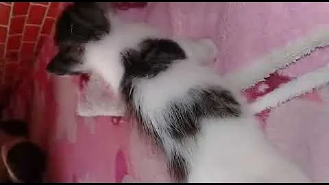 mis nios hermosos