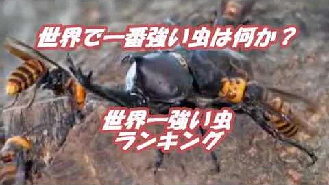 世界最強のむし