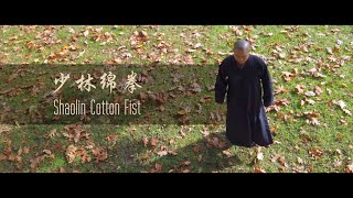 Shaolin Cotton Fist (少林绵拳) by Master Shi Yandi (释延荻) at Stanley Park