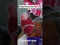 Baby Girl Birthday Gift Hamper