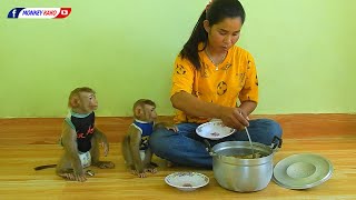 Baby Monkey | Obedient Kako And Luna Sit Waiting Eat Soup