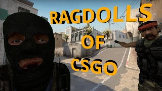 CSGO Ragdolls But They Get Increasingly More Stupid