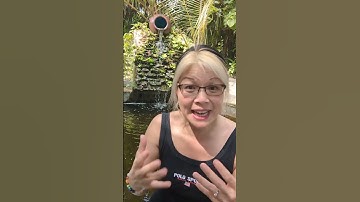 Are you an ECHOIST? (relates to Narcissism)