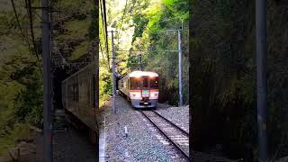 【秘境駅通過】JR東海373系 特急伊那路豊橋行き　小和田駅通過