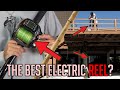 The best electric reel? & how to use it (Kaigen Banax 1000)