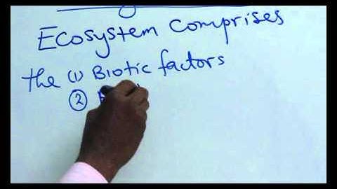 INTERDEPENDENCE OF THE ECOSYSTEM PART 1