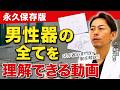 【医師解説】男性器の構造を完全理解|学校で教わらなかった男性の体の仕組み