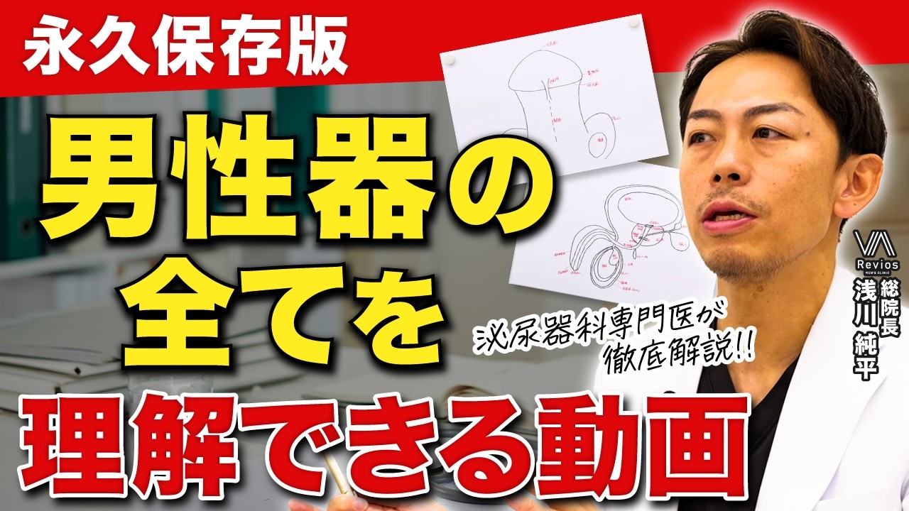 【医師解説】男性器の構造を完全理解｜学校で教わらなかった男性の体の仕組み
