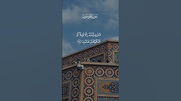 تلاوة هادئة تريح الأعصاب 😴🎧القارئ مصطفى جبل