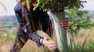 Yorkshire Dales Millenium Trust - Tree Shelter Collection