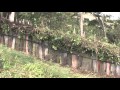 EBS 다큐프라임 - EBS Docuprime_아시아의 열대 4부, 원시 부족의 사랑과 평화, 발린카 족_#006
