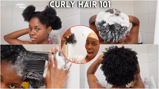 4C Natural hair wash day routine for beginners | No breakage  Beginners guide to thick & curly 4c