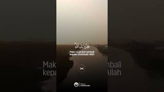 QS AZ ZARIYAT Ayat 50 Audio by Akhi Rahmadi #muslimpro #saadalghamidi #shorts #akhirahmadi