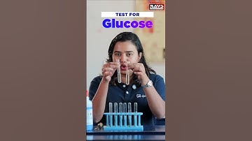 TEST FOR GLUCOSE PRELIMINARY | PLUS TWO BIOLOGY LAB | RAYS EDUCATION