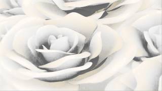 Футаж Белые розы крутятся