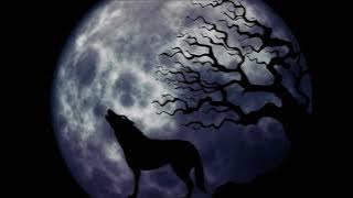 wolf notification sound..🦊🔥