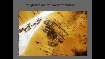 Edge-3D Microscope Neuroscience Video