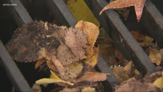 Protect your home. Clear your storm drains.