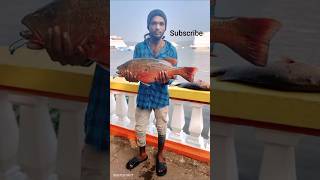 #redsniper @ subscribe 😯