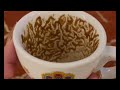 Scorpio Faith Over Fear — Always Coffee Cup Reading