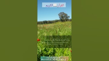 رعد الكردي ۩ سورة الجمعة ۩^
