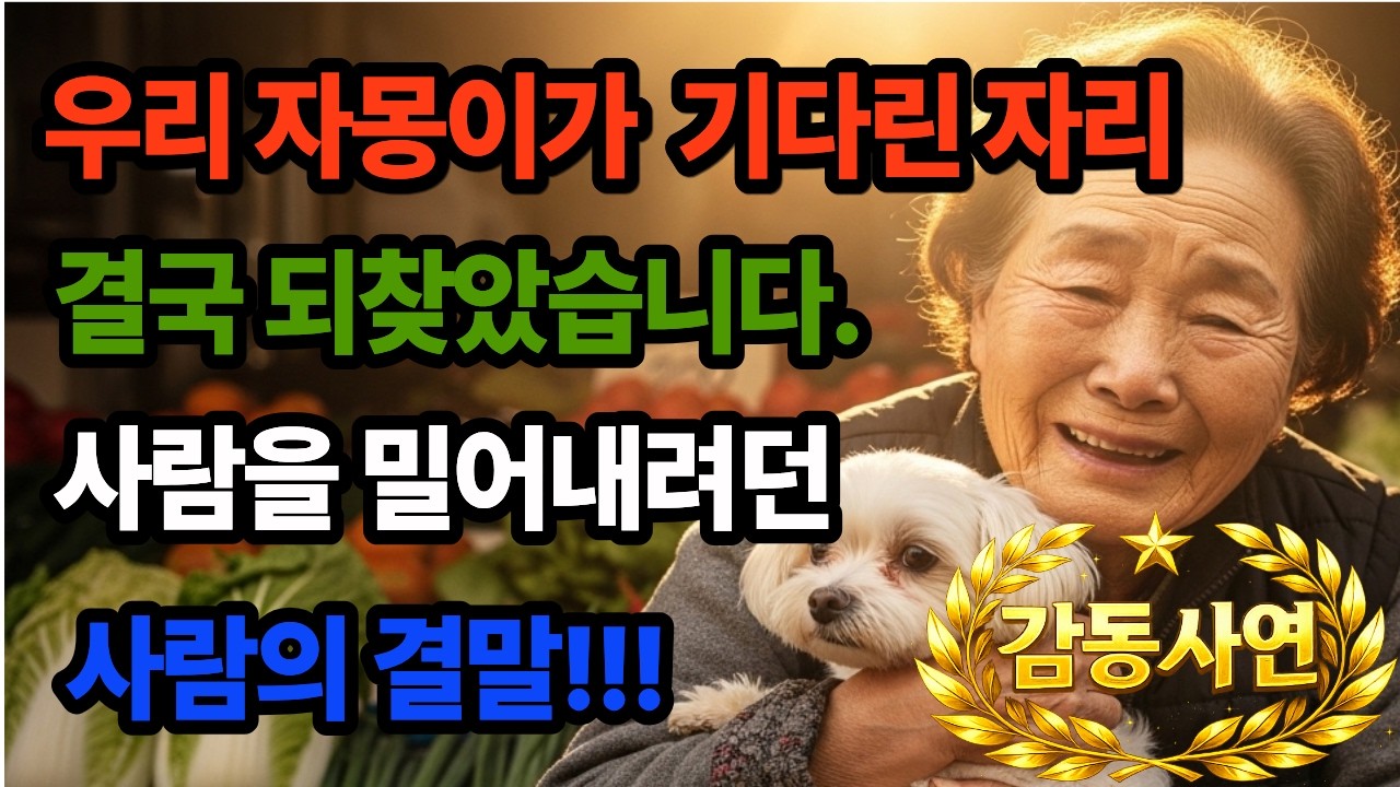 강아지가 기다린 자리, 결국 되찾았습니다. /사연낭독 / 가족이야기 / 감정스토리 /노후사연 / 감동사연 /사연라디오 / 오디오북